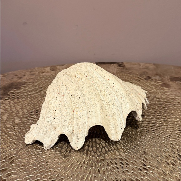 Decorative Shell Dish - Picture 5 of 12